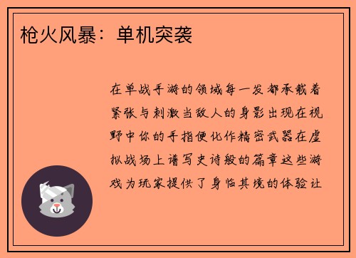 枪火风暴:单机突袭